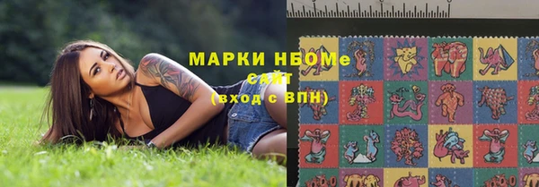 гашик Алексеевка