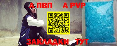 шишки Кингисепп