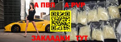 шишки Кингисепп